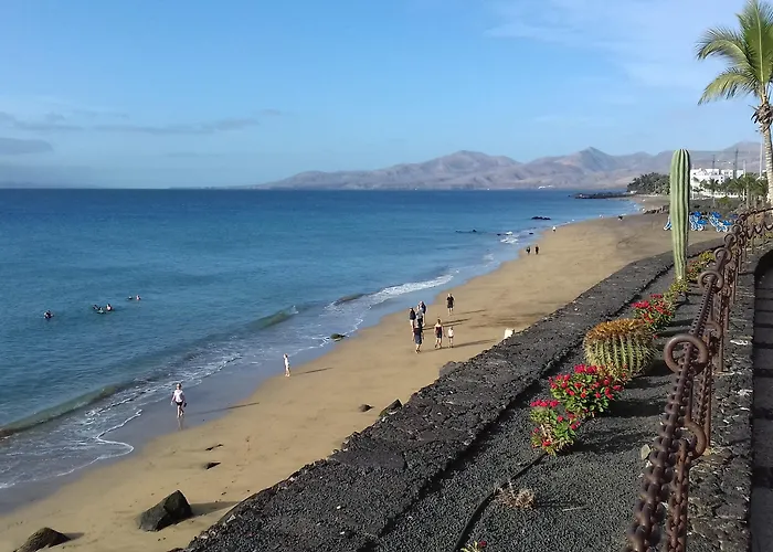 Orly Club Arena Dorada